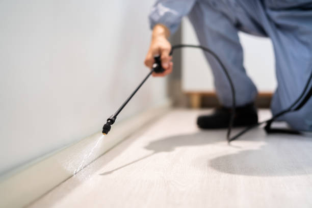 Licensed Exterminator service in Nazareth, PA - Show Me Pest Control