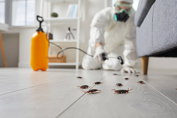 Post-Treatment Bed Bug Interceptor Monitoring in Nazareth