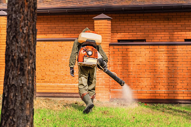 Bed Bug Clearance Verification and Documentation in Nazareth